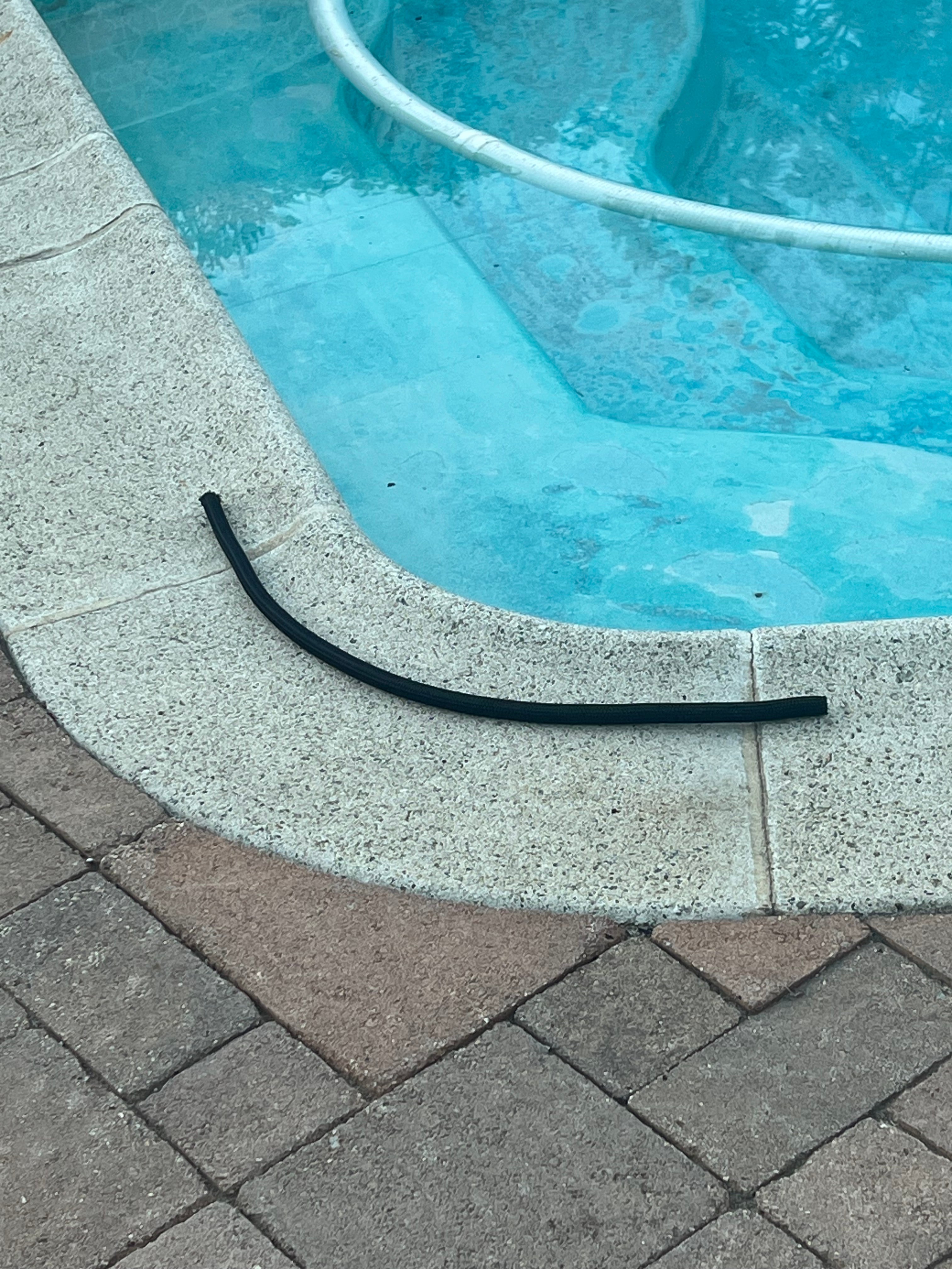 Brakeline/Cable Sleeves (2 Feet)